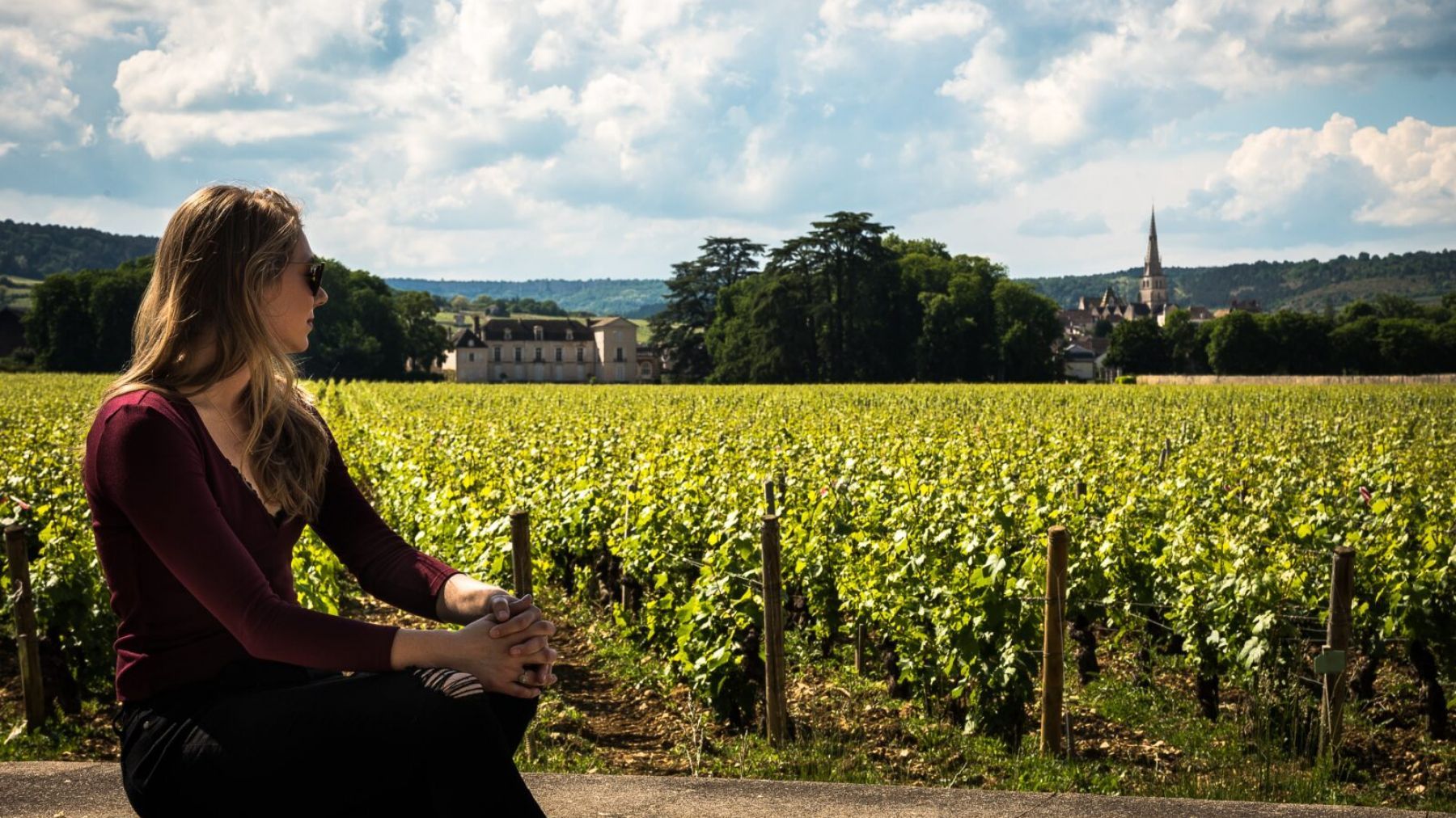 Which vineyard to visit in Burgundy?