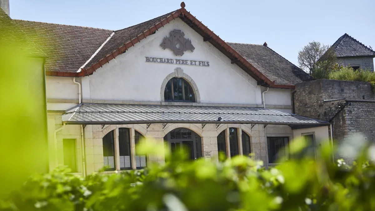 bouchardpereetfils.jpg bouchardpereetfils.jpg