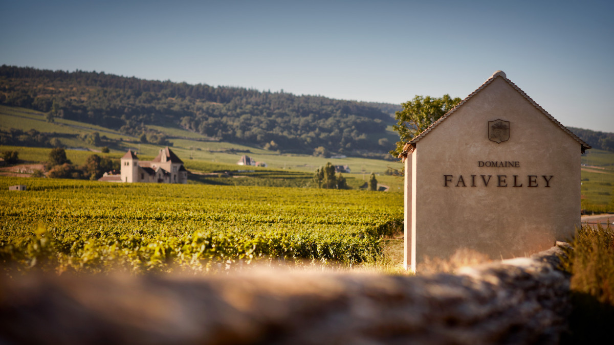 LeDomaineFaiveley2.jpg LeDomaineFaiveley2.jpg