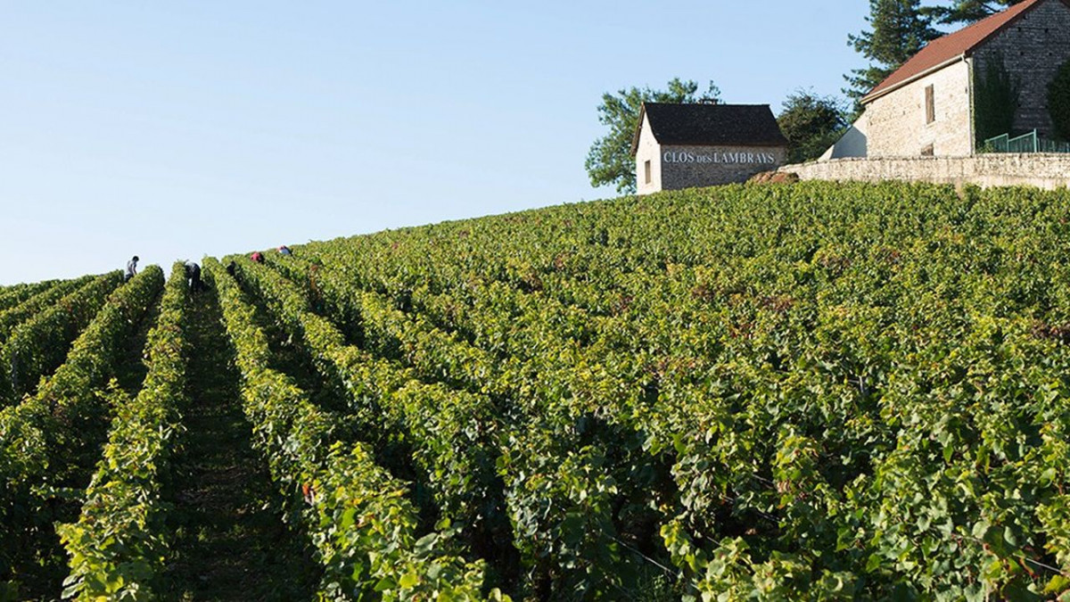 LeClosdesLambrays3.jpg LeClosdesLambrays3.jpg