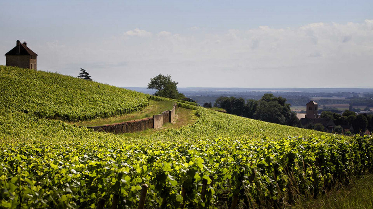 LedomaineThierryMortet1.jpg LedomaineThierryMortet1.jpg