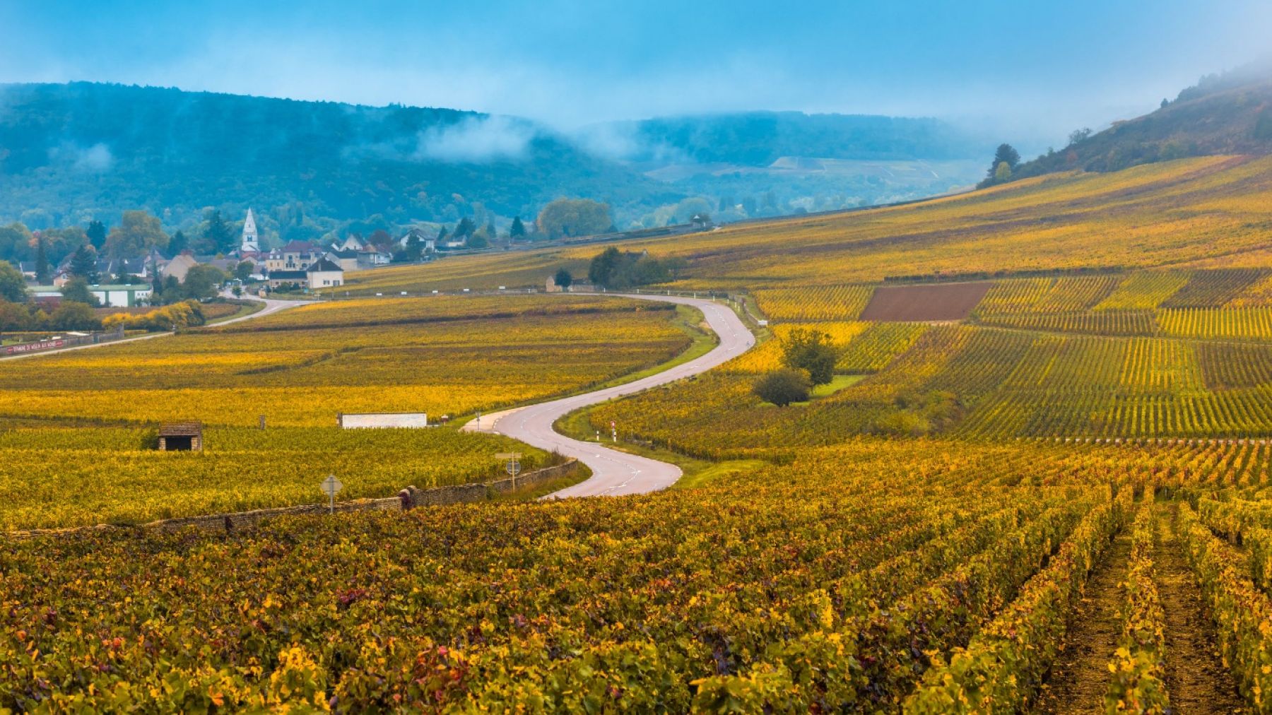 Quels sont les grands vins de Bourgogne ?