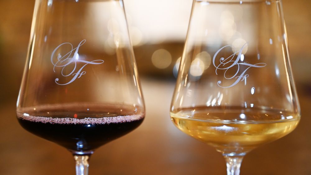 Découvrez les vins de Bourgogne avec notre expert aux 7 Fontaines !