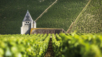 Tournus wine Tournus wine
